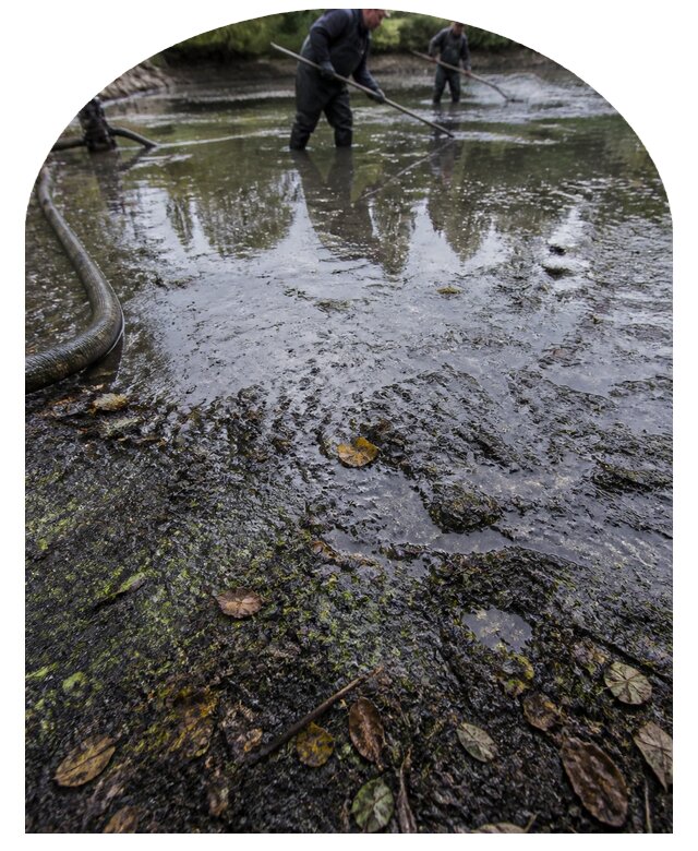 Очистка пруда в Лыткарине от ила мусора и водорослей с вывозом